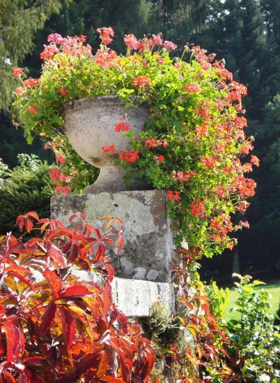 Chateau Le Mialaret Neuvic  Luaran gambar
